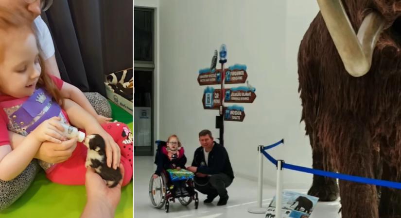 „Az utunk idáig nem volt egyszerű” – SMA Lili, aki imádja az állatokat, eljutott a Nyíregyházi Állatparkba!