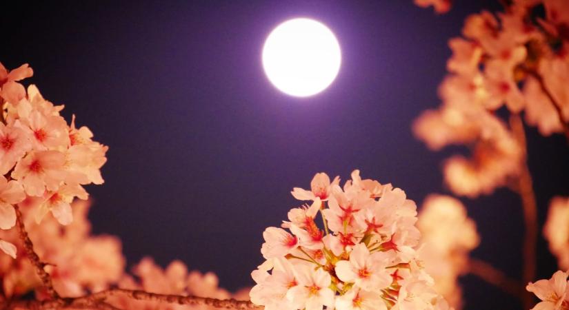 Mély felismerések és lezárások jöhetnek a Skorpió teliholddal: így hat rád a Hold a napokban