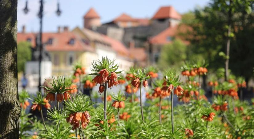 Csípős hajnal, ragyogó délután – ilyen lesz a holnapi időjárás Hevesben