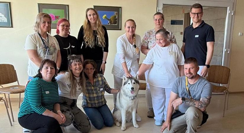 Amikor egy kutya hozza a nyugalmat – különleges foglalkozás a Szent Pantaleon Kórházban