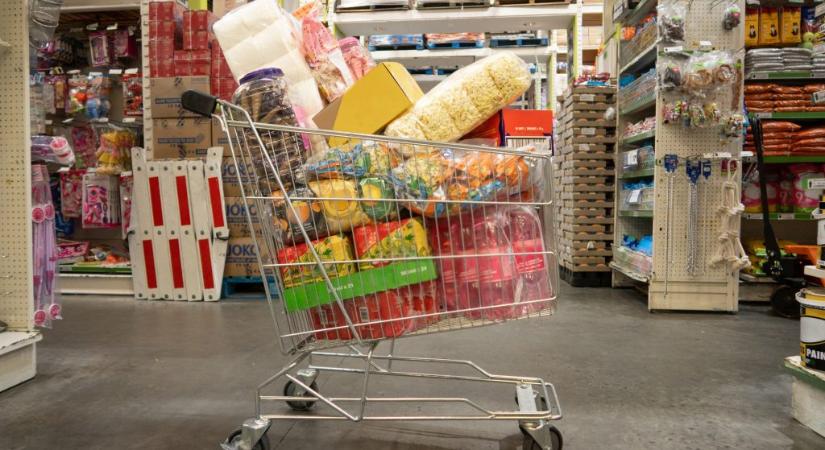 Legjobb, aktuális nonfood akciók: ezekre csapnak le most a vásárlók a Lidl, Aldi, Tesco és Penny üzleteiben