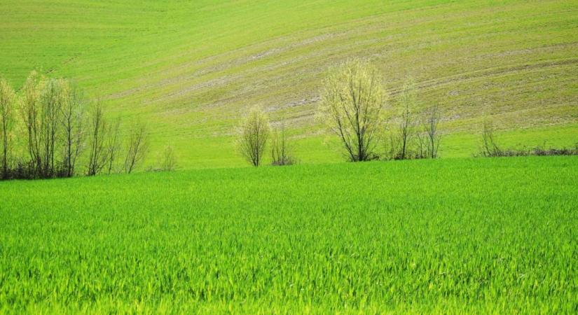 3 napos időjárás-előrejelzés: itt a nyár?