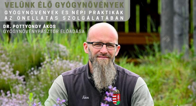 "Velünk élő gyógynövények" címen rendeznek programot a Bezerédj-kastély Művelődési Házában