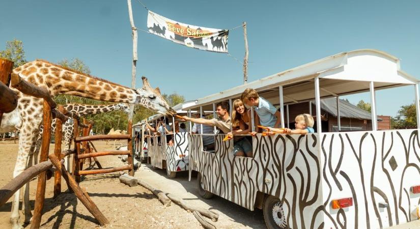 Szafaripark, sövénylabirintus és Mini Magyarország – 3 rejtett hazai látnivaló, amit kár kihagyni