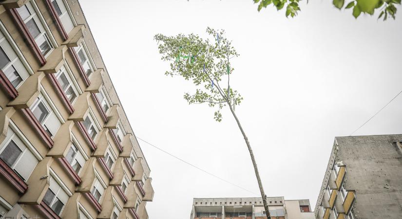 Horvátországban és Szlovéniában is megünneplik a munka napját