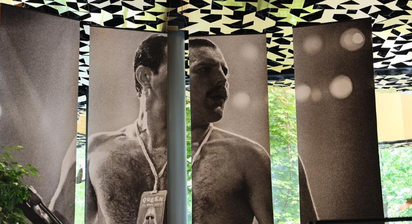 Freddie Mercury legféltettebb tárgyait láthatják a rajongók Budapesten