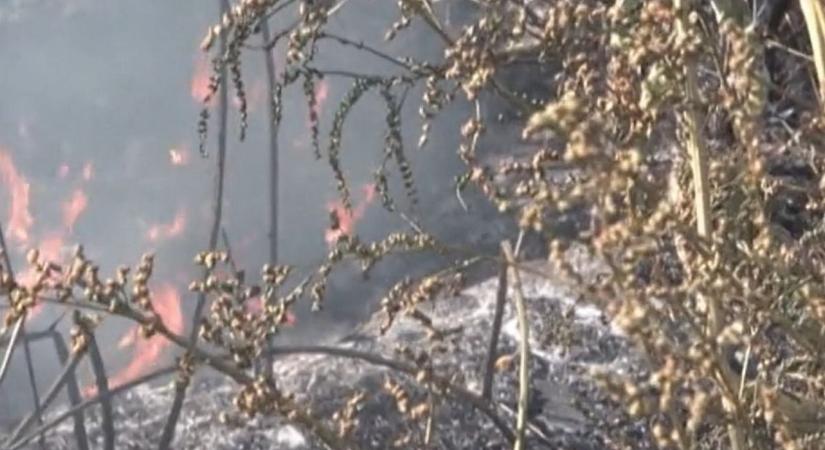 Pokoli lángtenger Érpataknál: sokkoló tűzvész tarolta le a külterületet