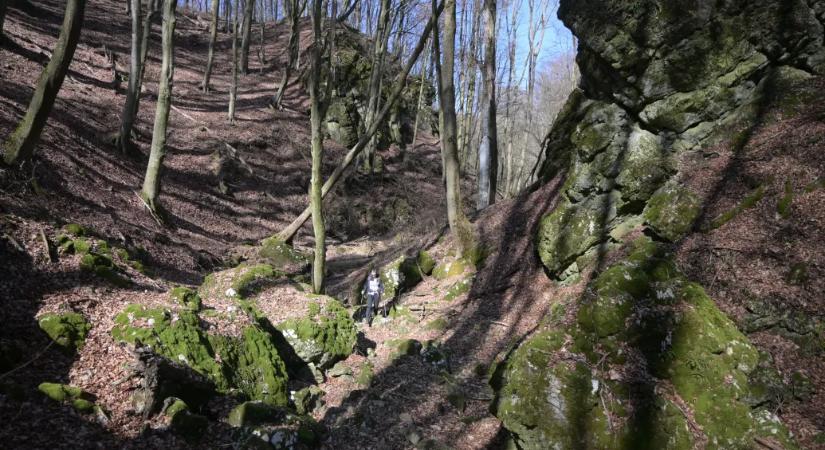 Hóleopárd és Kőszoros: a Magas-Bakony csúcsai és titkai nem adják könnyen magukat