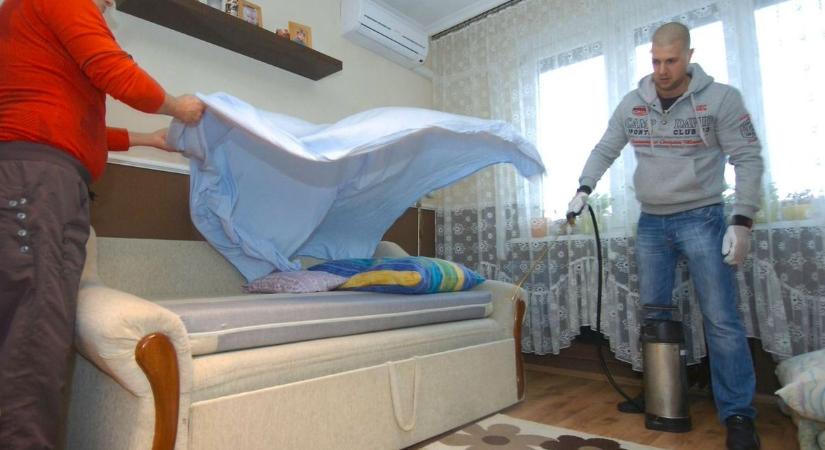 Így vadásznak az otthonodra az ágyi poloskák – a hevesi rovarirtó elrettentő példája, ennél a családnál nem jött be a kivárás