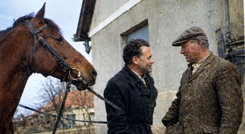 Lóháton érkezik a beteghez a somogyi orvos