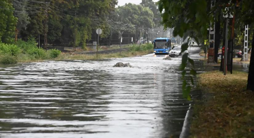 Ha a klímaváltozás élesbe kapcsol, a Margit-szigetet elfelejthetjük árvíz idején