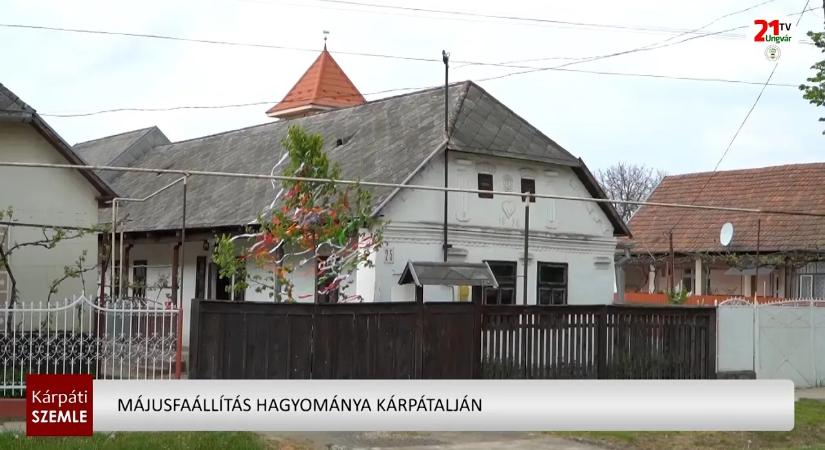 Májusfaállítás hagyománya Kárpátalján (videó)