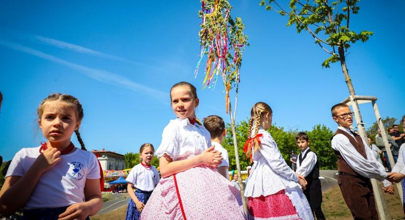 Ez aztán a sokadalom! Verőfényes napsütésben zajlik a Szekszárdi Majális a Tudásközpont mellett (galéria)
