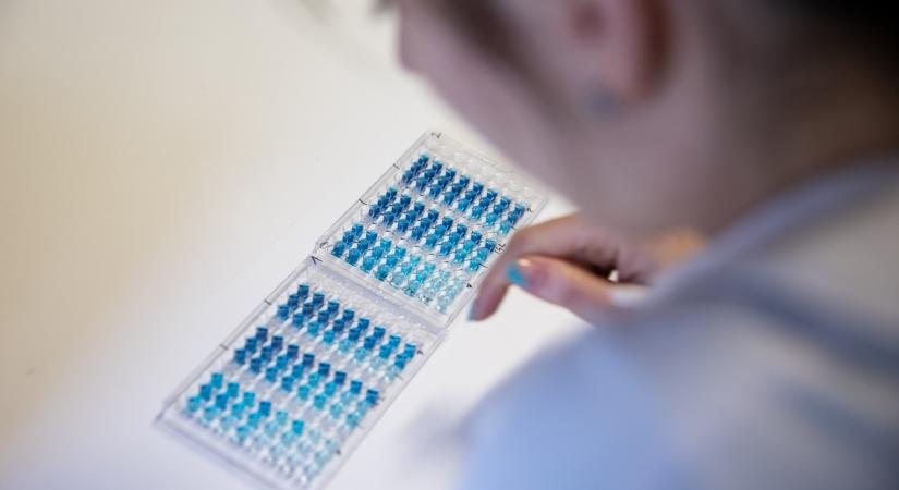 Lemondott Lovász László a HUN-REN tudományos tanácsadó testületének tagságáról
