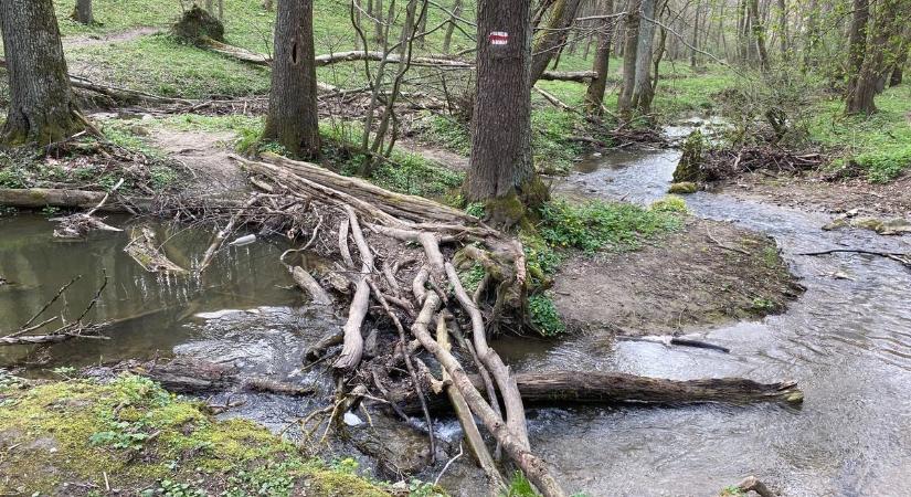 Földrajzi kvíz – Toplistás bakonyi kirándulóhelyeket mutatunk, felismered mind a hetet?
