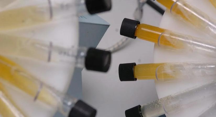 Doppingvétségért összesen 291 oroszt büntetett a WADA a moszkvai laboradatok alapján