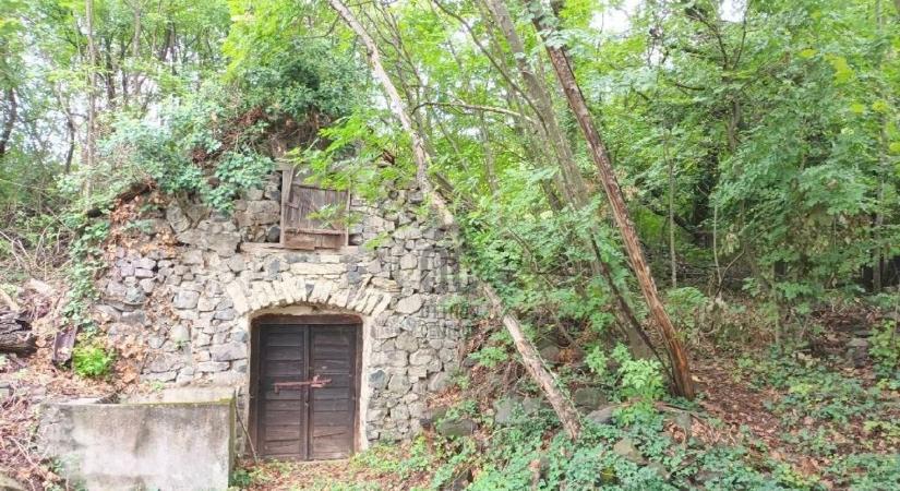 Pihenés a hegy ölelésében: különleges ingatlan eladó a Balaton-felvidéken ( galéria)