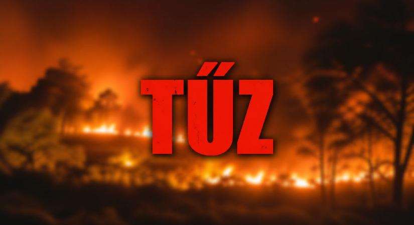 Futótűz a határban: több hektár égett Gemzsénél
