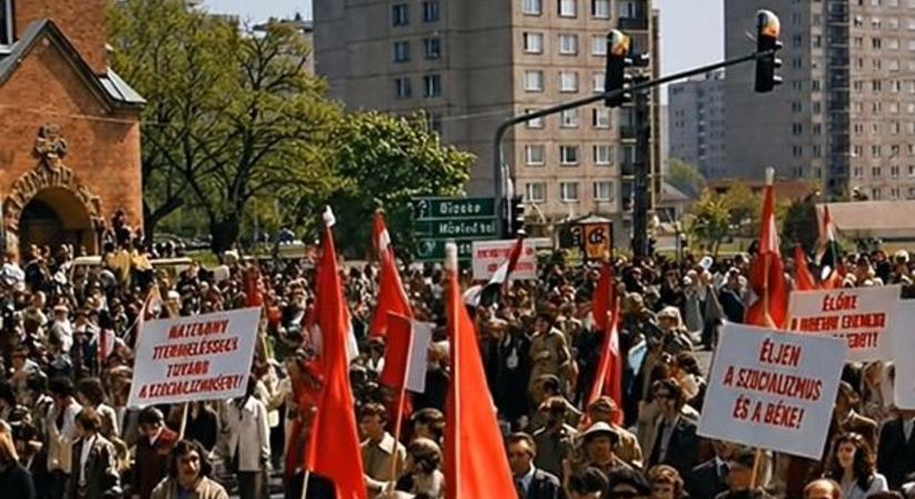 Videón, ahogyan a fotók életre kelnek a fehérvári belvárosban (videóval)