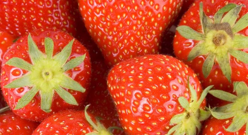 Eperrel a ragyogóbb bőrért: 7 házi arcpakolás, amit érdemes kipróbálni
