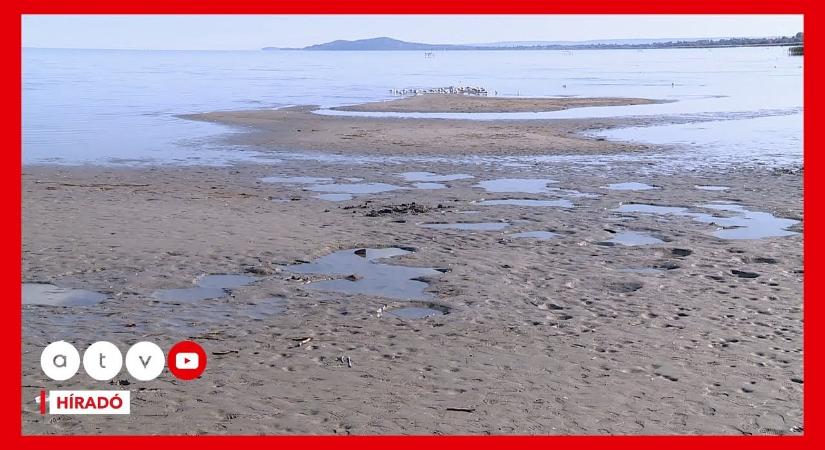 Apokaliptikus képek érkeztek a Balatonról, az Aranypart kiszáradt