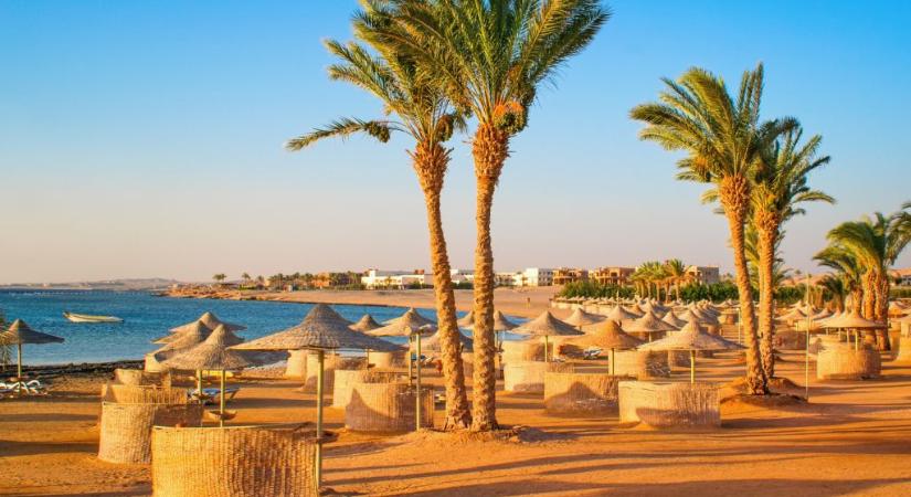 Halálos tragédia lett az egyiptomi kígyóbemutatóból: egy turista életét vesztette