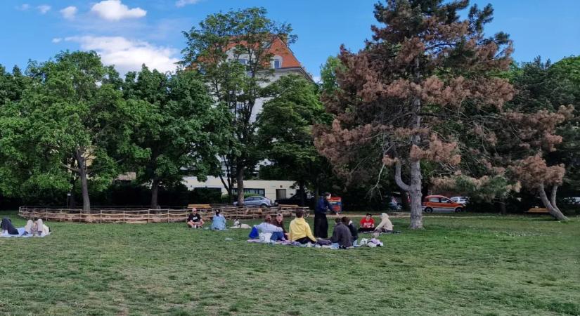 Fokozódik a meleg a jövő hét közepéig