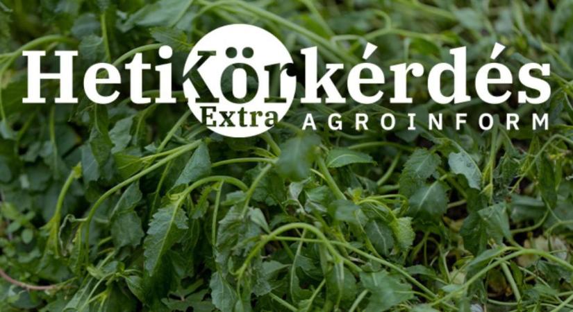 Miért ne bízzuk a vakszerencsére a zöldtrágyanövények kiválasztását? – Heti Körkérdés Extra