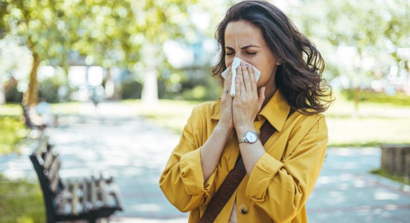 Ha az allergiád rosszabbodik az életkorral, akkor nem csak képzelődsz – az orvosok elmagyarázták, mi ennek az oka
