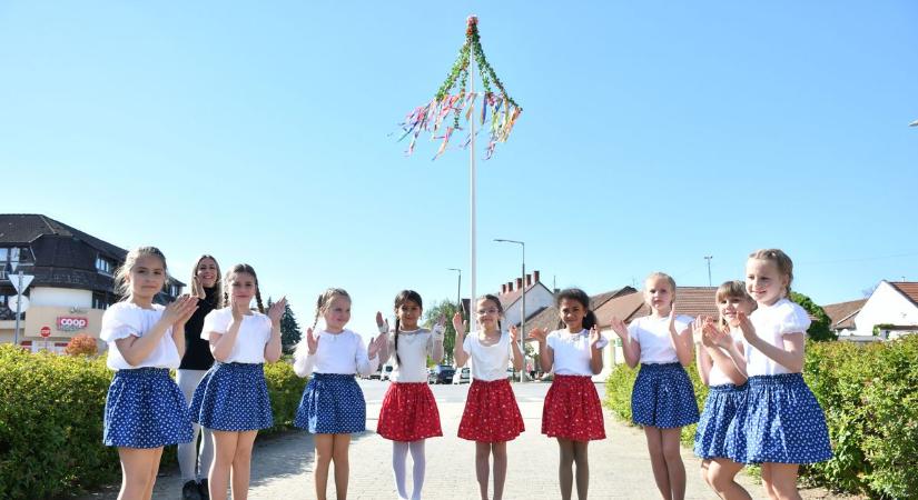 Májusfát állítottak Csenger központjában