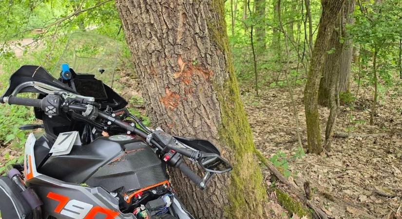 Fák közé csapódva ért véget az út egy hatvani motoros számára