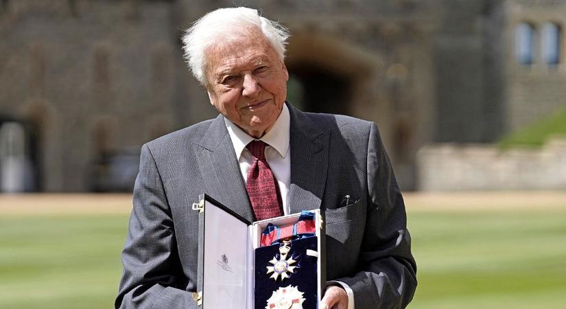 David Attenborough titka a hosszú élethez: ezt az egy ételt hagyta el a legendás természetfilmes