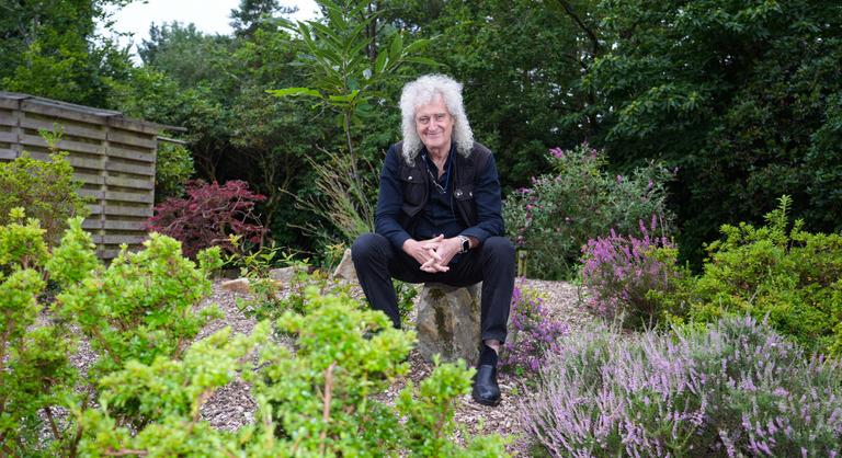 Letiltották Brian May akcióját, pedig a Queen gitárosa csak nárciszt akart ültetni