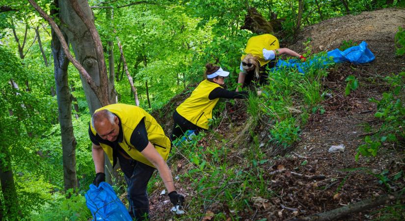 Több köbméter szemetet gyűjtöttek a Pilisben