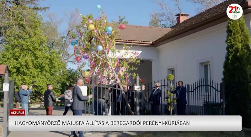 Aktuális (2026.05.02) Hagyományőrző májusfa állítás a beregardói Perényi-kúriában (videó)