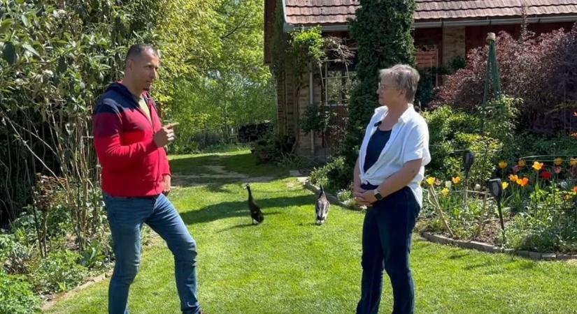 Elképesztő kert Kaposváron: majd’ fél hektáron, saját forrású tóval – még Monty Don is megirigyelné!