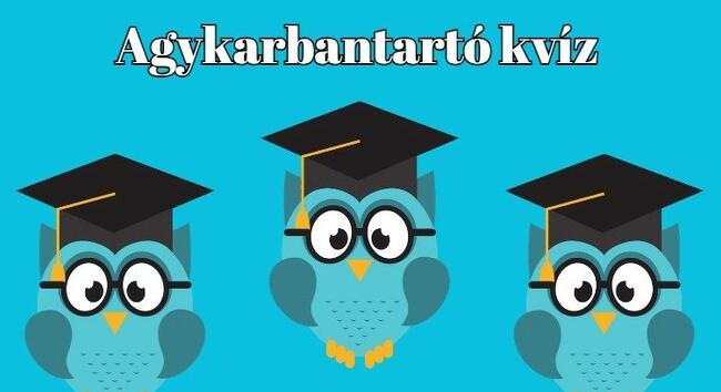 Kvíz - Ha 10 kérdésből legalább 7-re helyesen válaszolsz, te is átlagon felüli vagy
