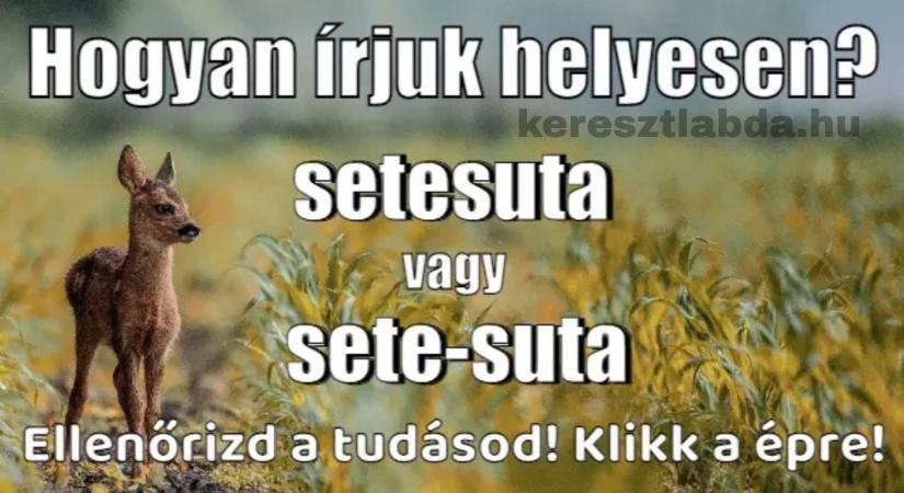 Napi helyesírás feladat: „Setesuta” vagy „sete-suta”? – Te biztosan tudod a szabályt?