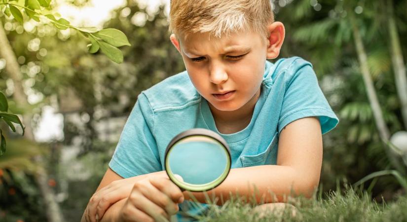 Furcsa rovarok lepik el a kerteket: így ismerd fel őket