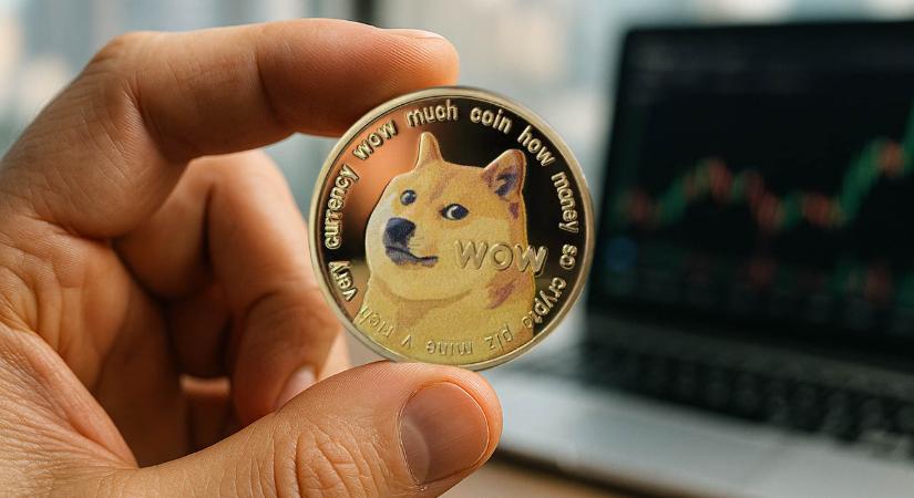 A Dogecoin-bálnák aktivitása hat hónapos csúcsra emelkedett