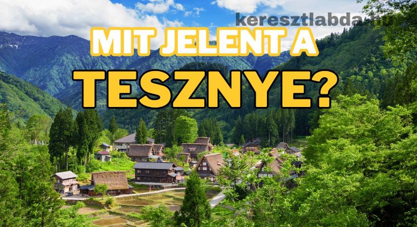 Tájszólás feladat: Tesznye – te tudod, kit takar ez a régi magyar szó?