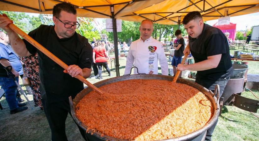 Megindító összefogás Kalocsán: rekord bolognai spagetti készült egy kisfiú gyógyulásáért  fotók, videó