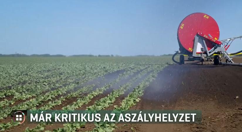 Drágulást hozhat a magyarországi aszály
