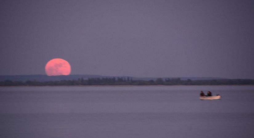 Különleges holdkeltét fotózott olvasónk a Balatonnál - fotók
