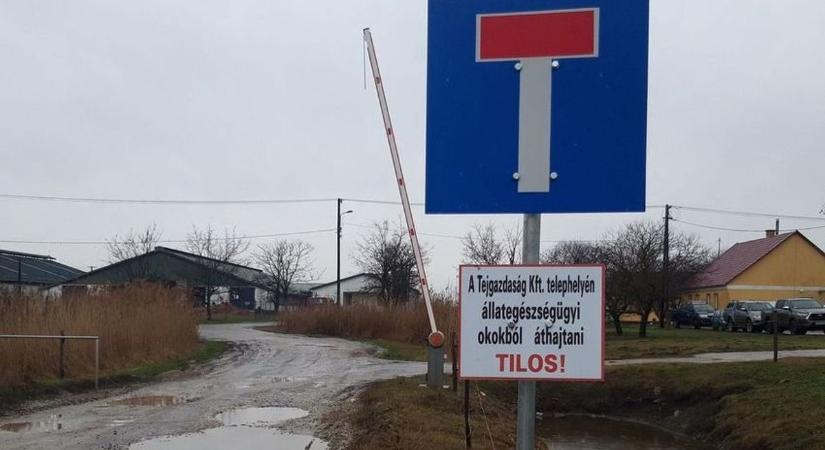 Zúg a vihar a hajdú-bihari településen: sorompókkal zárták le a kivezető utat, még a mentő is elakadt