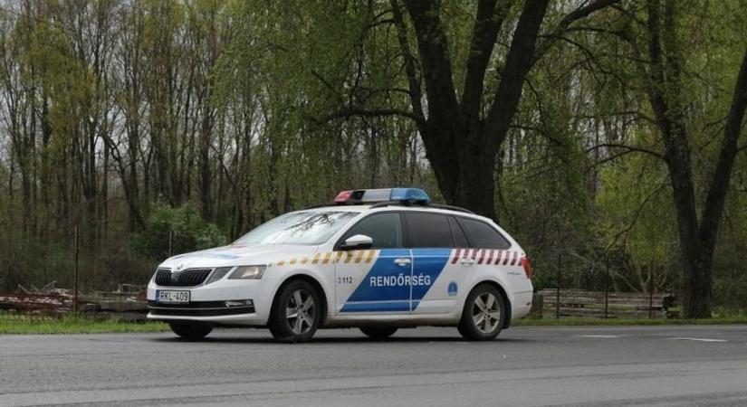 Vadat gázolt egy autó a 82-esen