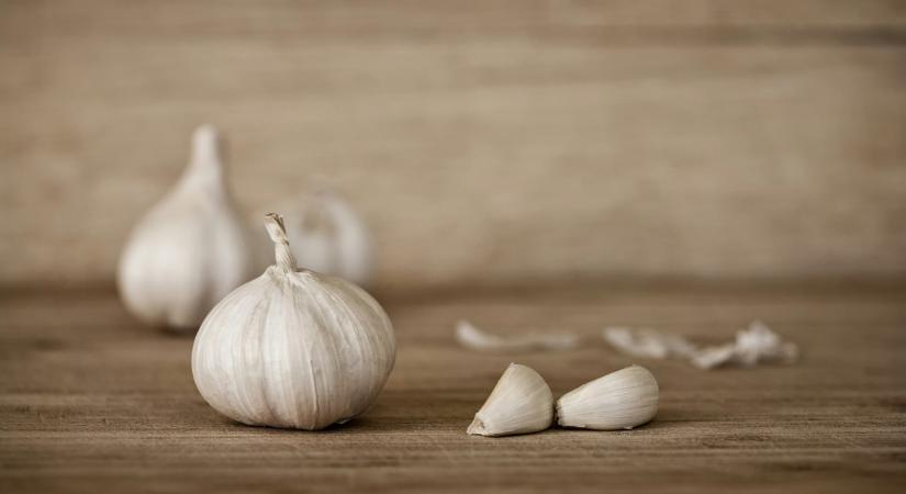 Ezt tedd májusban a fokhagymával, hogy bő termésed legyen: a kertész szerint ezen múlik minden