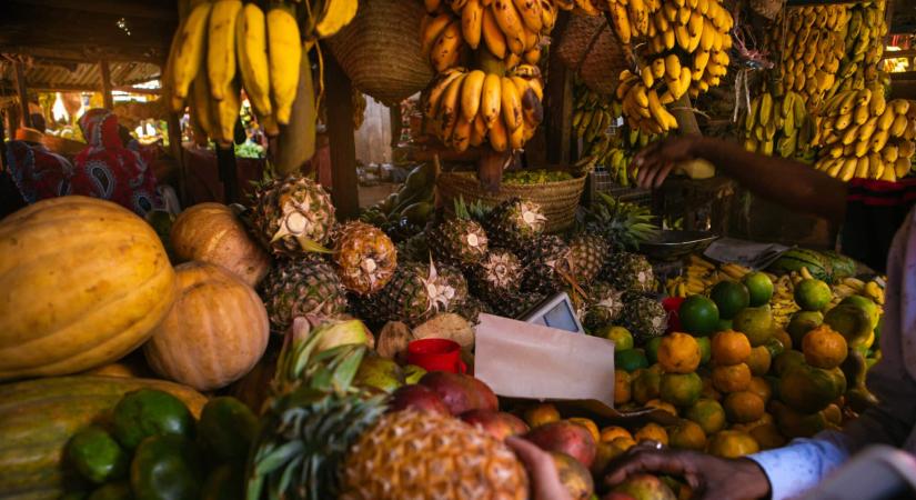 Afrikai kékzóna-jelöltet emlegetnek a kutatók – mutatjuk, mit leshetsz el az ott élőktől