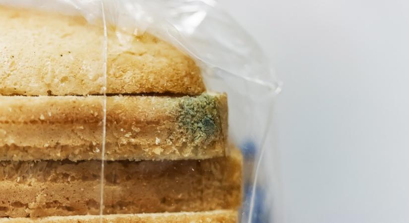 Ehető-e a penészesedésnek indult kenyér, ha kivágjuk a zöld foltokat?