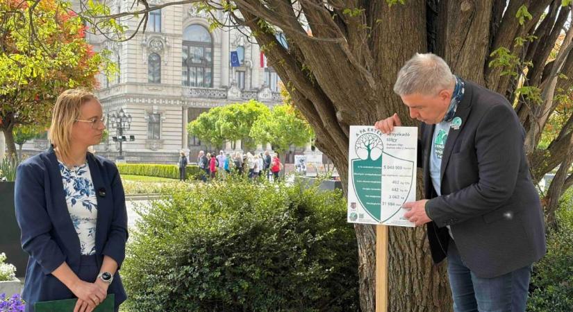 Tömegével pusztulnak a fák Magyarországon: Ha nem lépünk, milliókat bukunk a klímaváltozáson